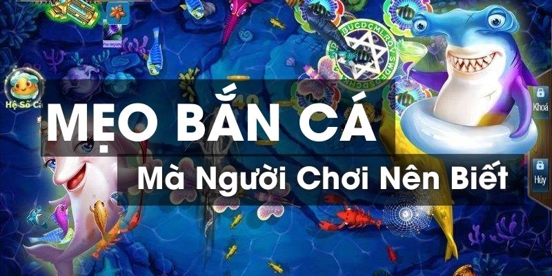 Nắm bắt tình hình